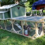 image of Holiday Hen chicken tractor with extended run.