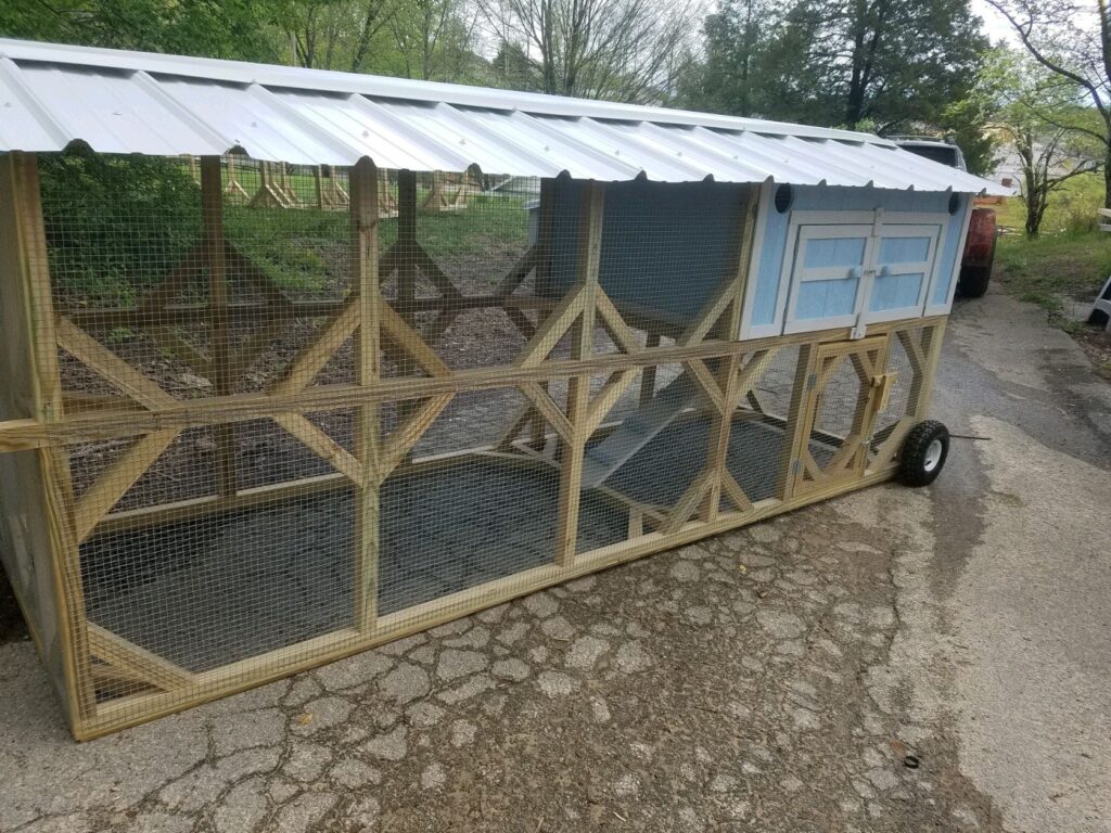 Holiday Hen with covered extended 10' run