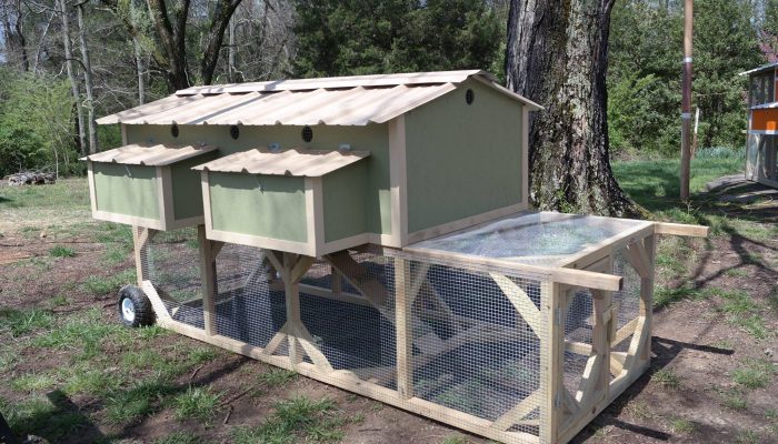 image of Red Rooster Inn chicken tractor